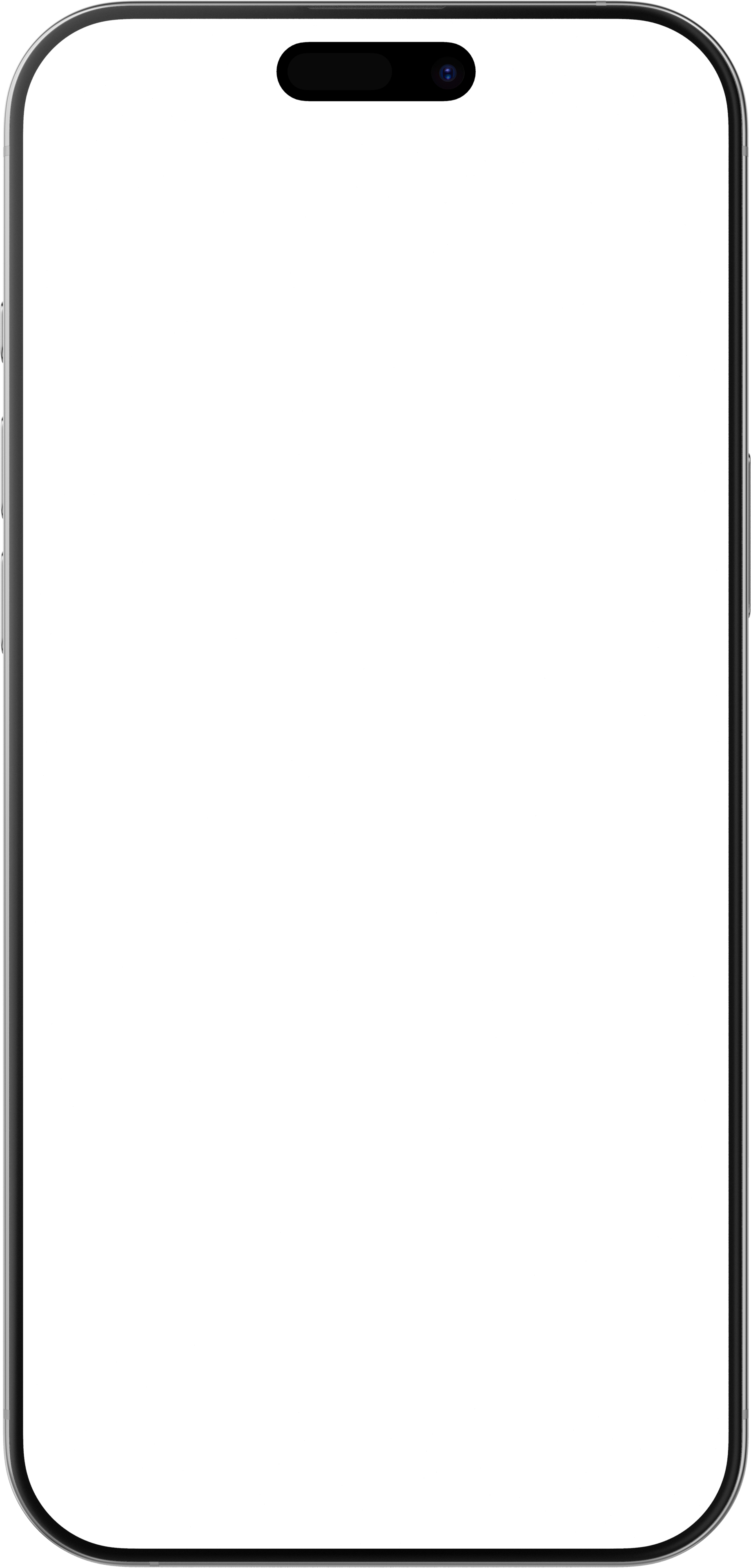 iPhone 16 Pro Max Overlay